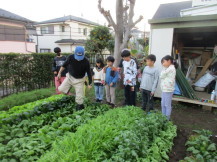 みなみすげ農園